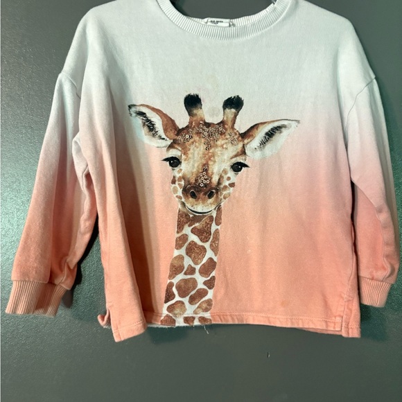 H&M Other - H&M Toddler Giraffe Print Kids Sweatshirt - Peach Ombre SZ 2-4